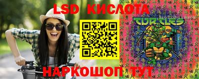 ПСИЛОЦИБИНОВЫЕ ГРИБЫ Краснодар