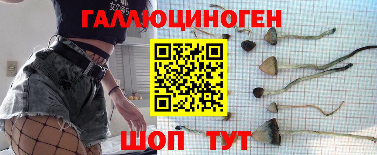Галлюциногенные грибы прущие грибы Йошкар-Ола